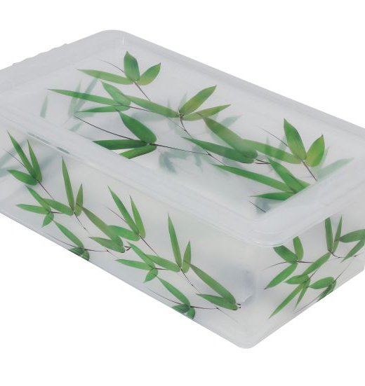 CAJA ORGANIZADORA 5,50LTS (OR16L06)
