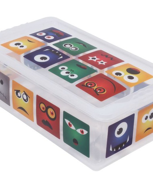 CAJA ORGANIZADORA 5,50LTS (OR16L09)