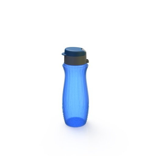 BOTELLA 750 ML. (17023)
