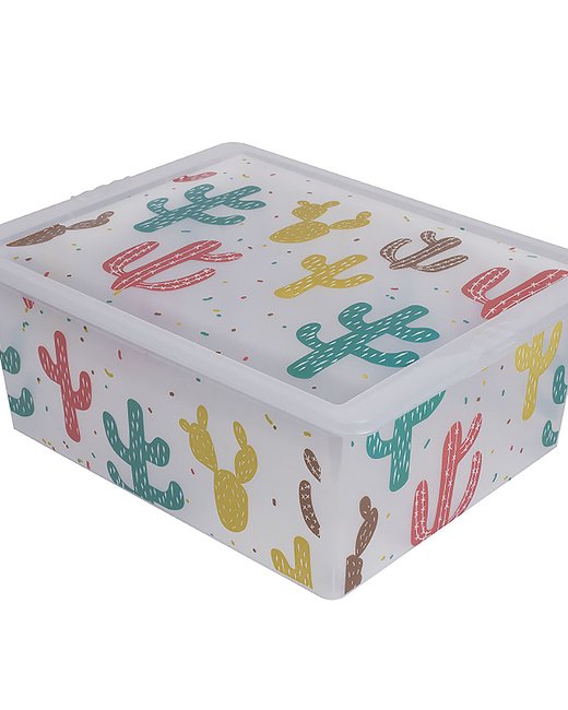 CAJA ORGANIZADORA 5,50LTS (OR16L36)