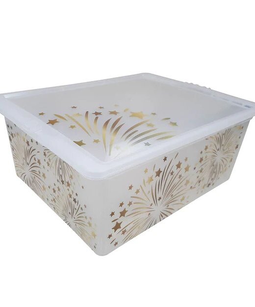 CAJA ORGANIZADORA 17 LITROS (OR17L44)